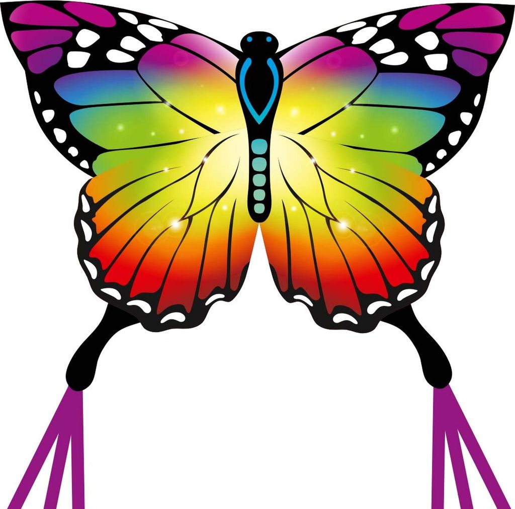 Ecoline: Butterfly Kite Rainbow 120 cm