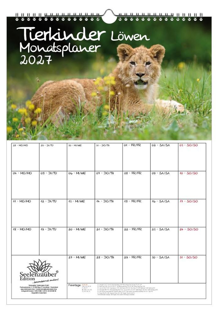Tierkinder Löwen Planer DIN A3 Kalender für 2027 Löwenbabys - Seelenzauber