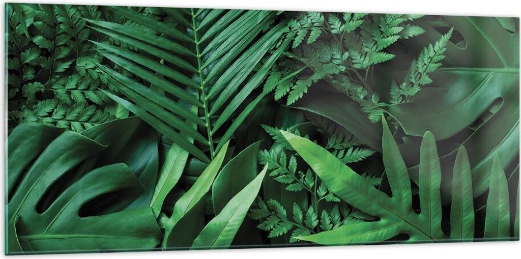 Bilder auf glas - Einteilig - Exotisch Blätter Monstera - 120x50cm - Glasbilder - Wandbilder - Bilder - Wanddekoration aus Glas - Glas Bilder - Wa...