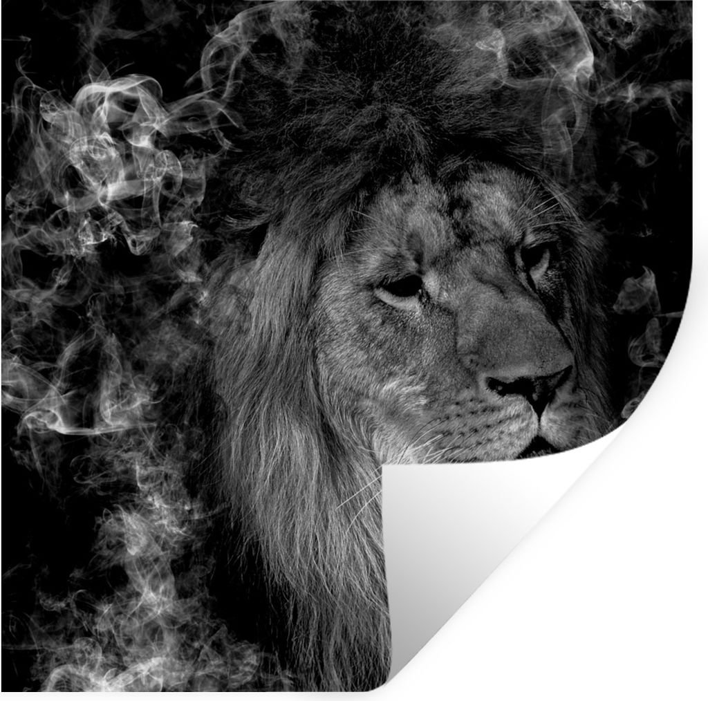 MuchoWow Wandtattoo Wandsticker Wandaufkleber Löwe - Rauch - Tiere - Schwarz - Weiß 50x50 cm Selbstklebend und Repositionierbar - Selbstklebend...