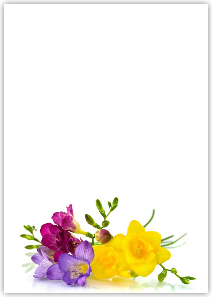Motiv Briefpapier (Blumen-5028, DIN A4, 25 Blatt). Produktbild 