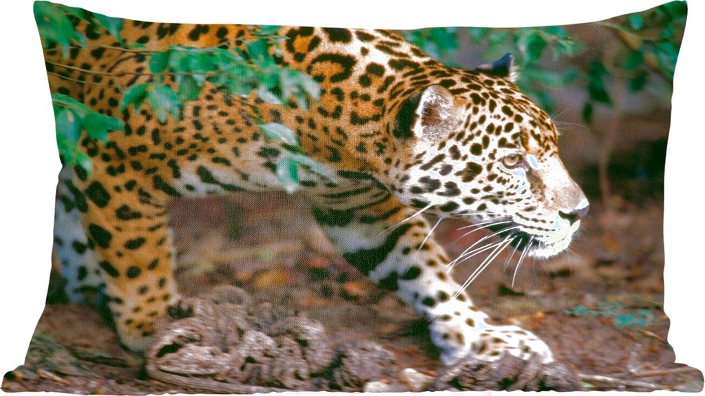 MuchoWow Zierkissen Sofakissen Wohnzimmer Dekokissen 50x30 cm Schleichender Jaguar im Wald - Wohnzimmerdekoration - Polster mit Photo