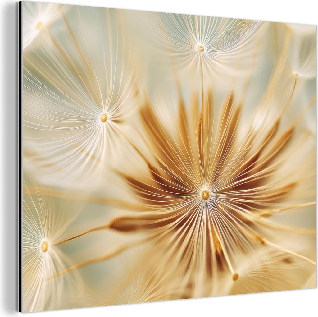 MuchoWow Wanddekoration Metall Metallbild Wandkunst 40x30 cm Löwenzahn - Beige - Abstrakt - Modern - Natur MuchoWow Aluminium Gemälde - Dekoratio...
