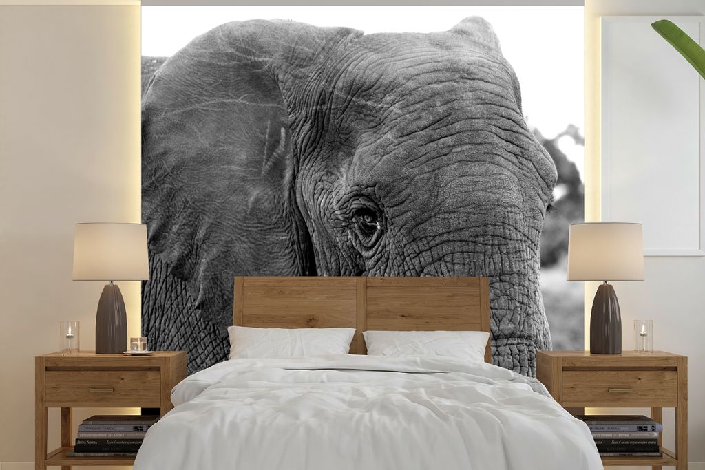 MuchoWow Fototapete für Wohnzimmer oder Schlafzimmer Wandtapete Vinyl Motivtapete Nahaufnahme eines Elefanten in der Natur in Schwarz und Weiß ...