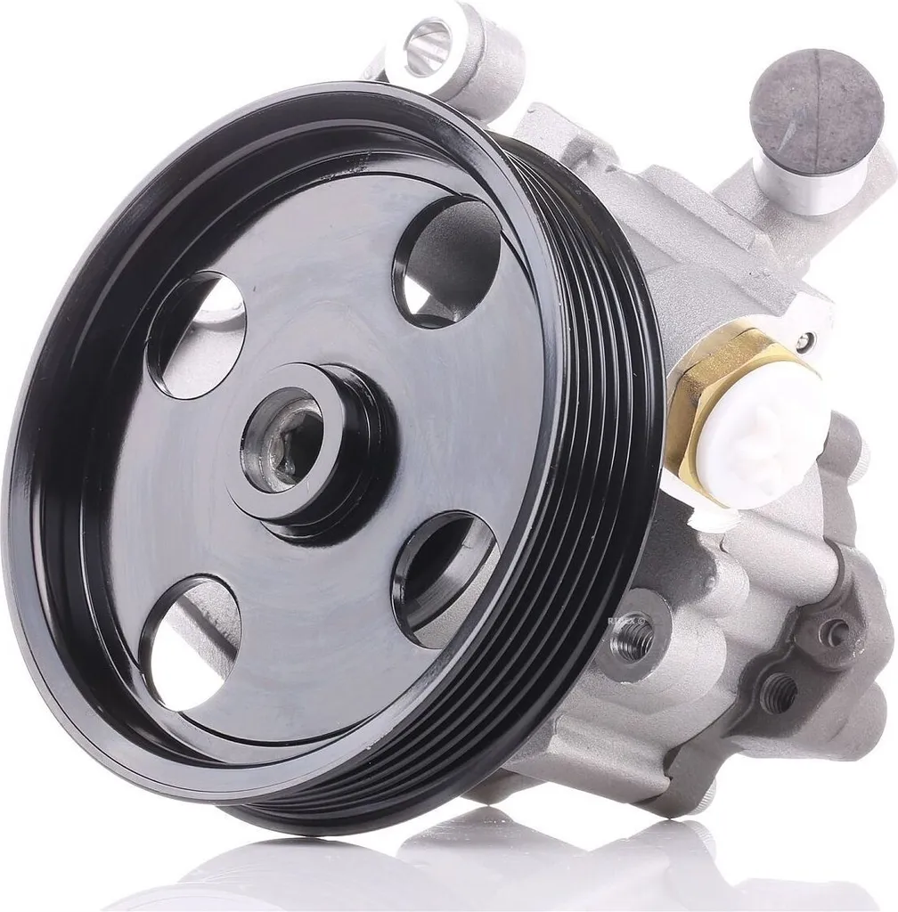 Servopompe Hydraulique Renforcée OE 44669301 pour SLS AMG et Mercedes W211