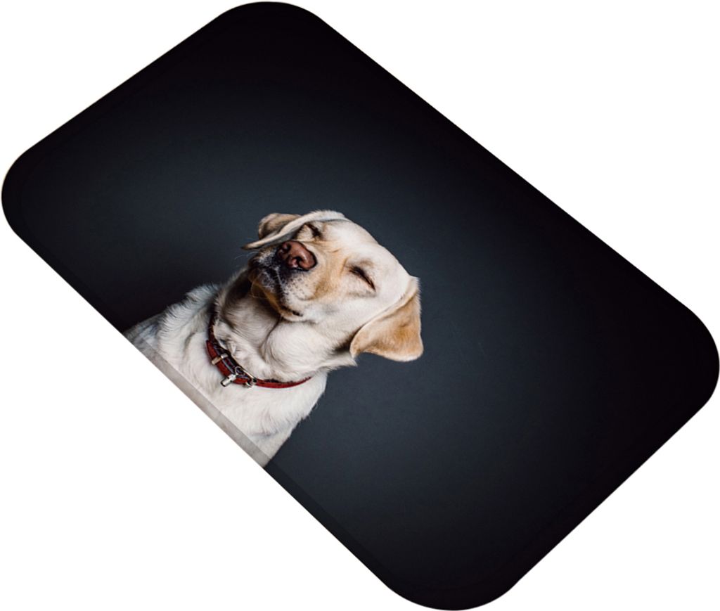 Schöner Hund Anti-Rutsch Fußmatte Wohnzimmer Badezimmer Küche Boden Matte Hausdekoration-9#