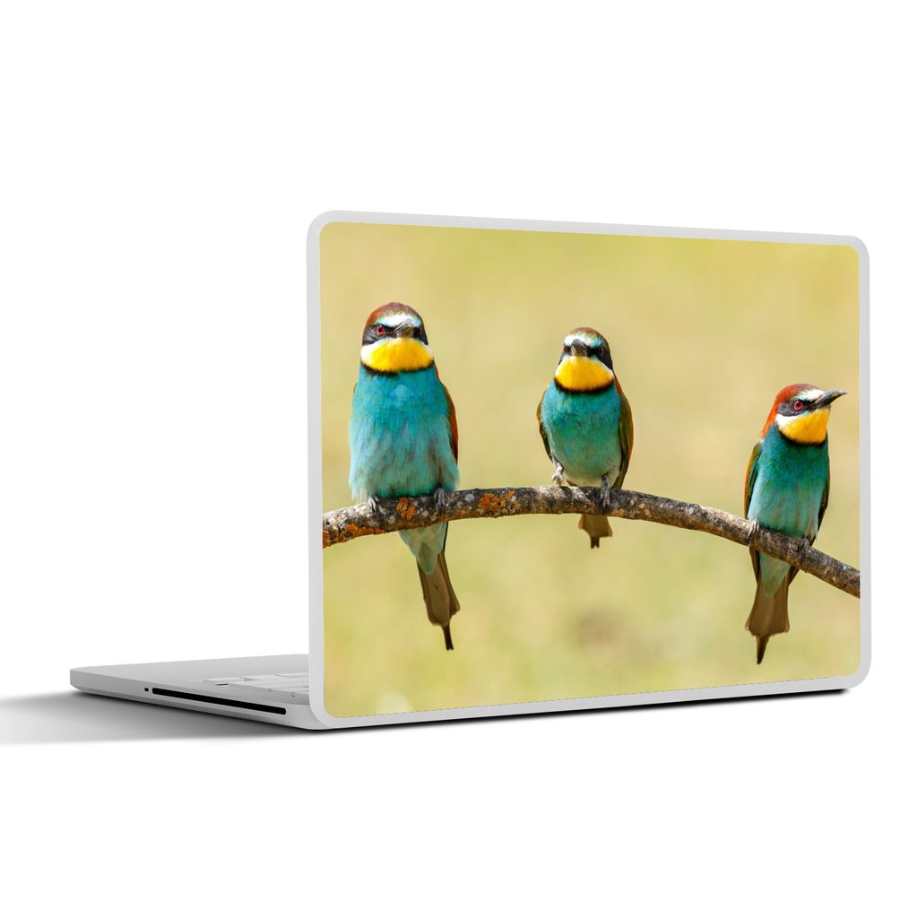 MuchoWow Laptop Aufkleber Sticker Cover Vögel - Tiere - Bienenfresser 25x18 cm - Laptop-Deko