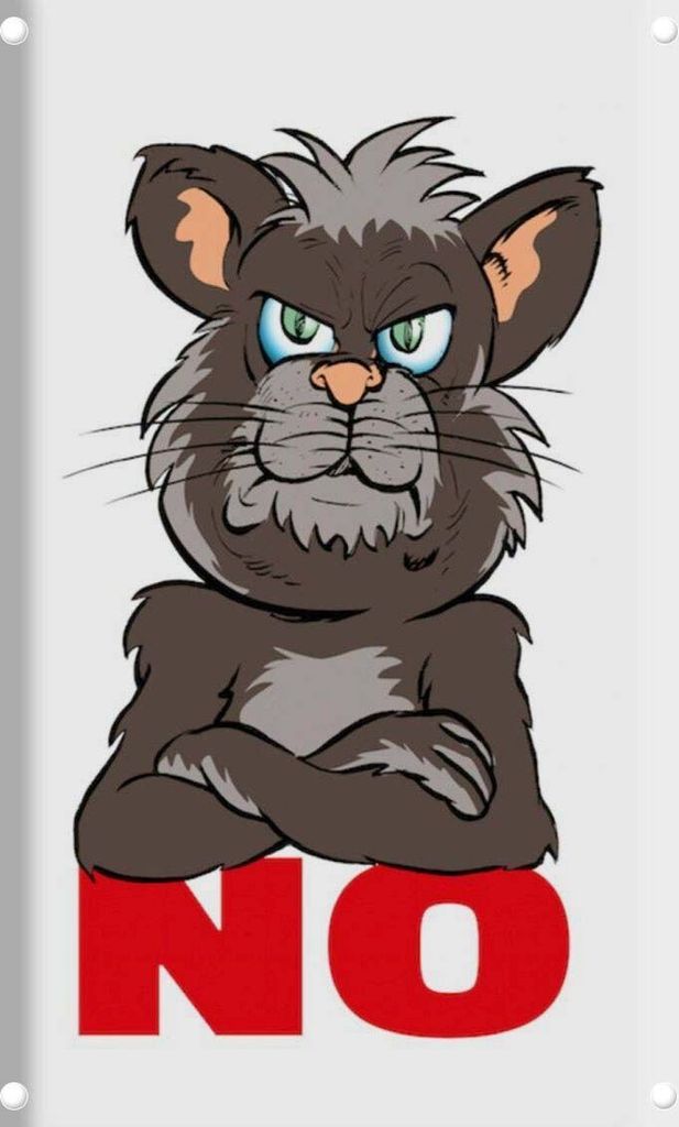vianmo Blechschild 30x20 cm NO Katze Dekoration