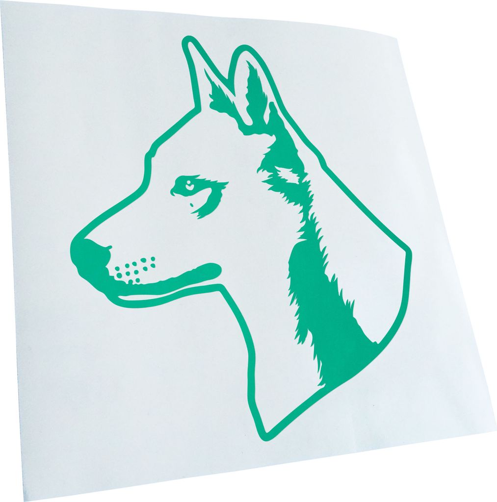 Kiwistar - Autoaufkleber - Canaan Dog Hund - Blau - 12x10cm - Aufkleber für Auto, Laptop, Fahrrad, LKW, Motorrad mehrfarbig JDM Decal Racing