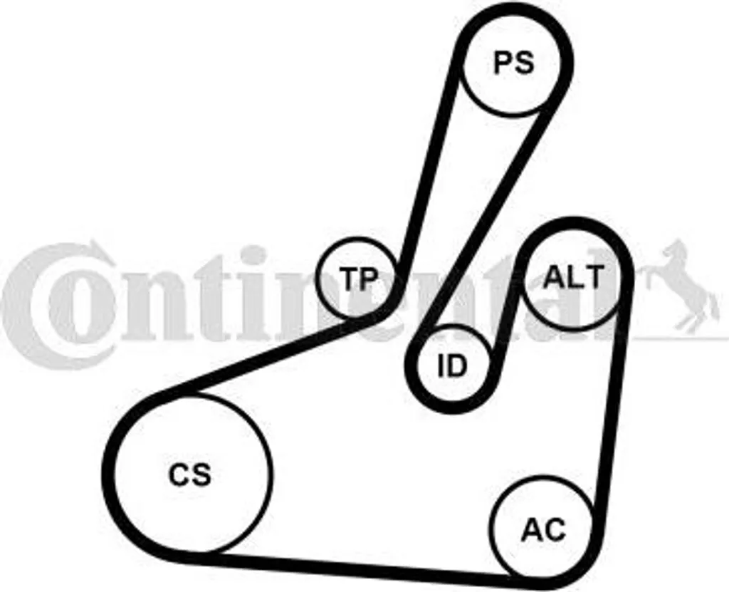 Solution bruits moteur : Kit courroie Continental pour 307 407 Scudo