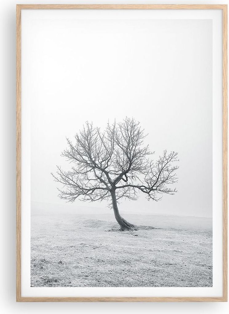 Gerahmtes Poster - Rahmen in heller Eiche - Baum Feld Natur - 70x100 cm - Wand Bild - Wanddeko - Wandbilder - Wandposter - Bilderrahmen - Bilder - ...