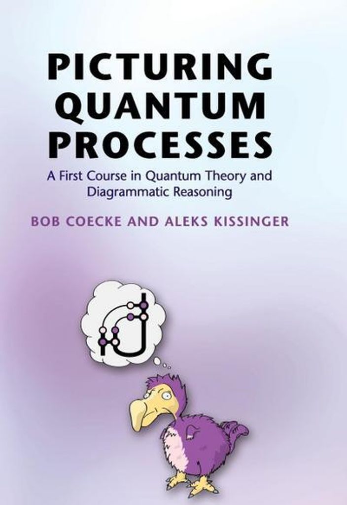 Picturing Quantum Processes