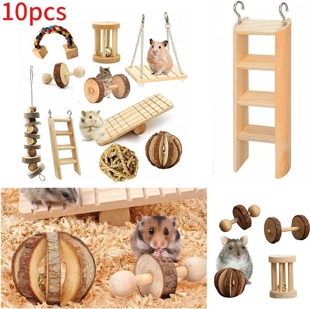 10 Stück Kauspielzeug für Ratten, Meerschweinchen, Chinchillas, Hamster, Hanteln, Bälle, kleine Haustiere, Spielspielzeug, Übungszubehör, Holz...