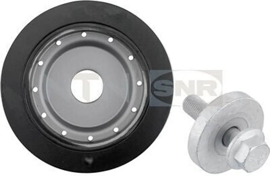 Poulie de Vilebrequin pour Révision Renault Scenic et Megane SNR DPF355