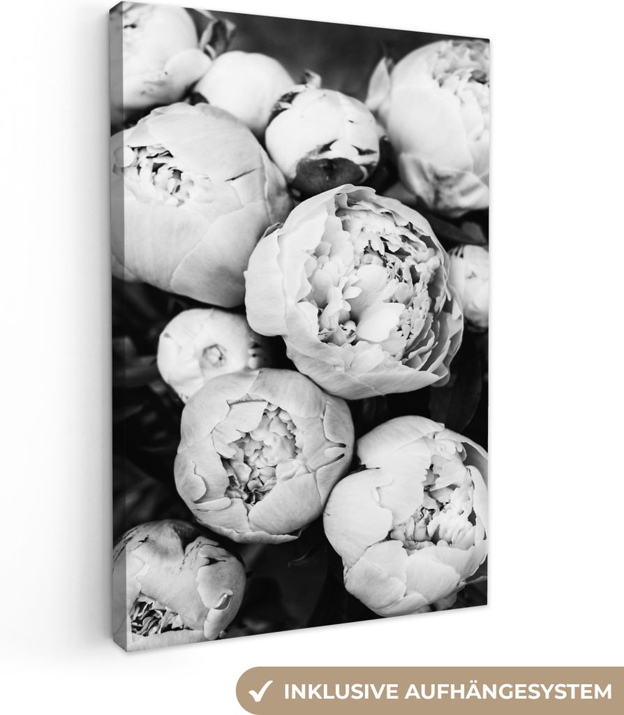 OneMillionCanvasses - Leinwandbilder - 90x140 cm, Blumen - Weiß - Natur - Schwarz und Weiß, Wandbilder Kunstdruck Wanddekoration - Foto auf Lei...