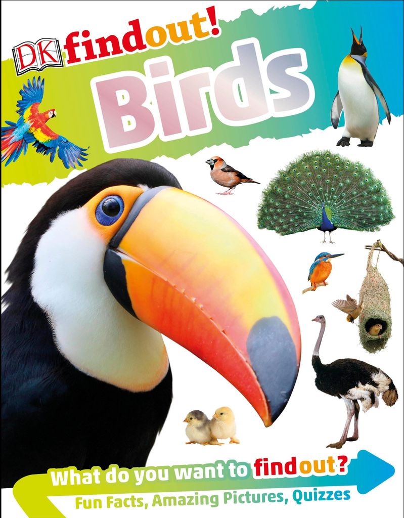 DKfindout! Birds