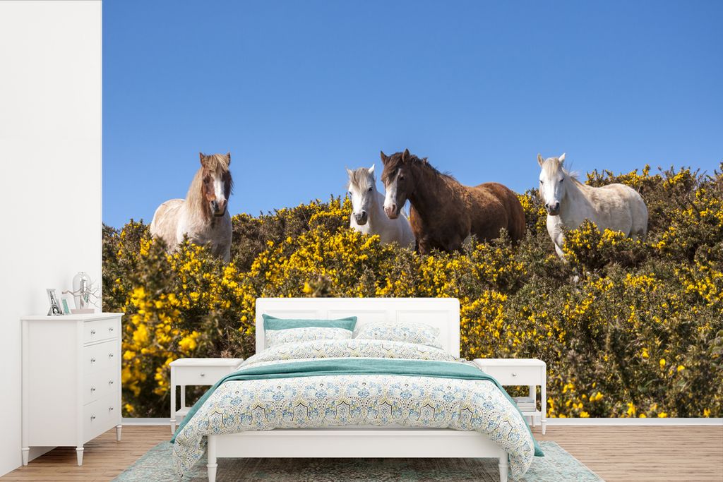 MuchoWow Fototapete für Wohnzimmer oder Schlafzimmer Wandtapete Vinyl Motivtapete Walisische Ponys an einem sonnigen Frühlingstag - 330x220 cm ...
