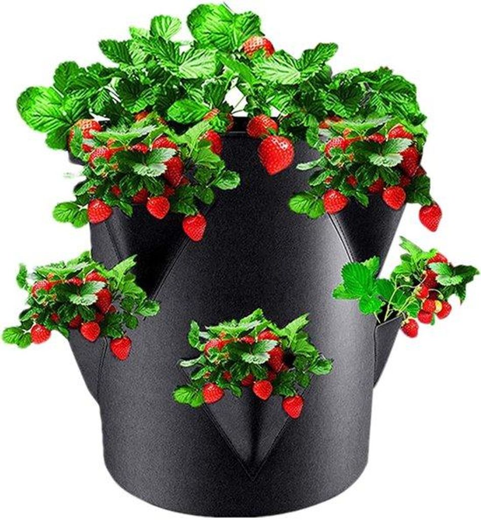 Kunststoffen Plantenpotten - 6-tegengestelde Zijgroeizakken - 7 Gallonen 30x35cm - Bunte Pflanzgefäße