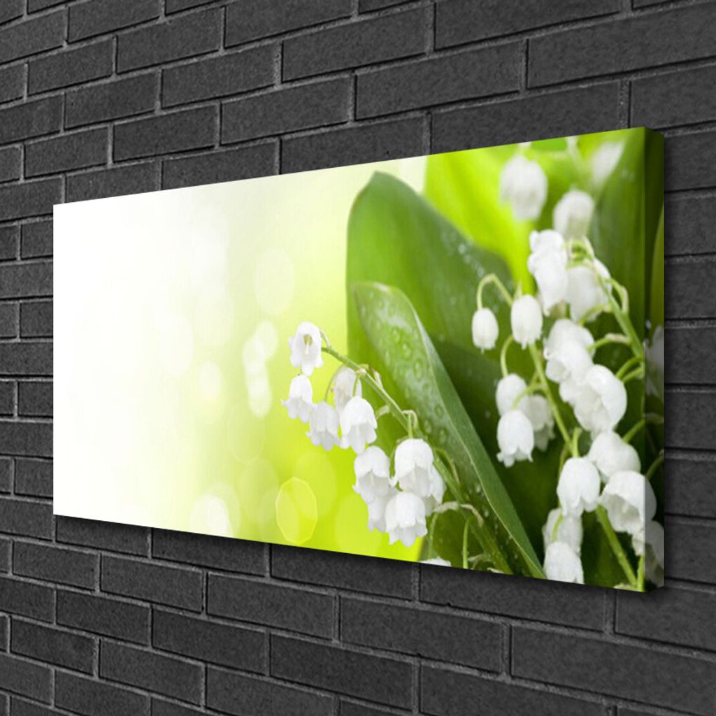 Tulup Leinwand-Bilder 100x50 Wandbild Canvas Kunstdruck Maiglöckchen Blätter Pflanzen