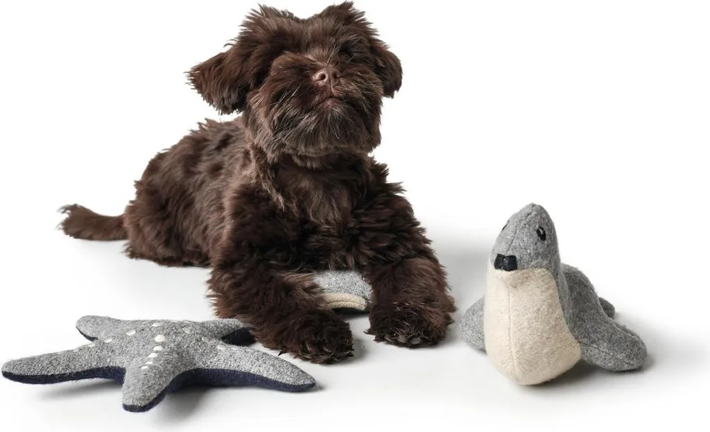 Gioco Cane Stella Marina Hunter Skagen: Relax e Rispetto per l'Ambiente - 4
