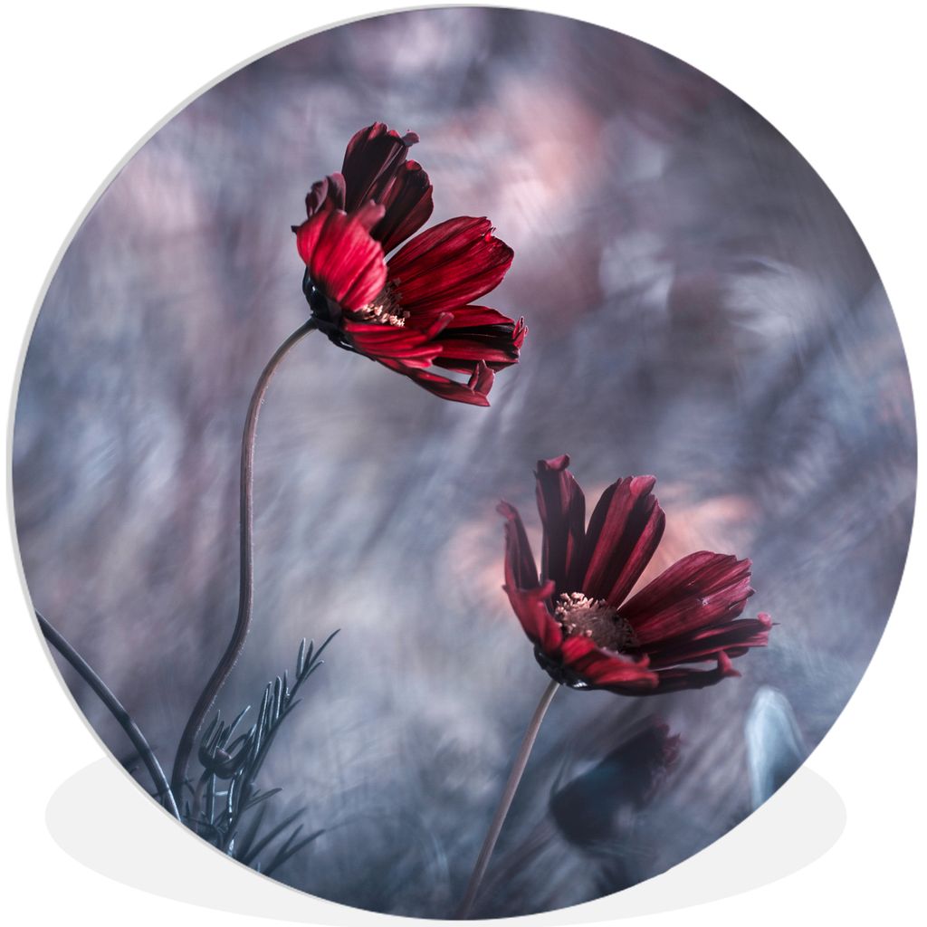 MuchoWow Rundes Wandbild - Runde Bilder Blumen - Rot - Pflanzen - Natur Ø 90 cm Kreis Wanddekoration Kunststoff - Wandkreis - Wandschmuck - Wand...