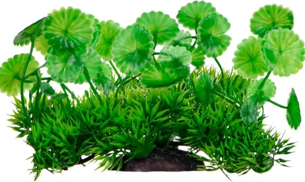 Plante Artificielle pour Aménager un Aquarium sans Algues ni Travail