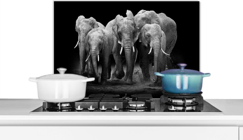 KitchenYeah Spritzschutz Küche - Küchenrückwand - Wandschutz für Herd und Spüle - Elefant - Schwarz - Weiß - Tiere 60x40 - Alu-Dibond (Alte...