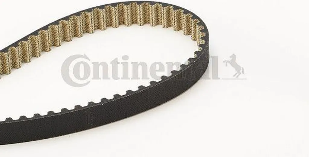 Courroie de distribution Continental CT1189 pour Ford Focus et C-Max