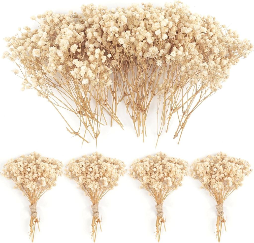 50 getrocknete Mini-Schleierkrautsträuße + 4000 weiße Blüten, Hochzeitsdekoration, Haarschmuck, Girlande, Vase
