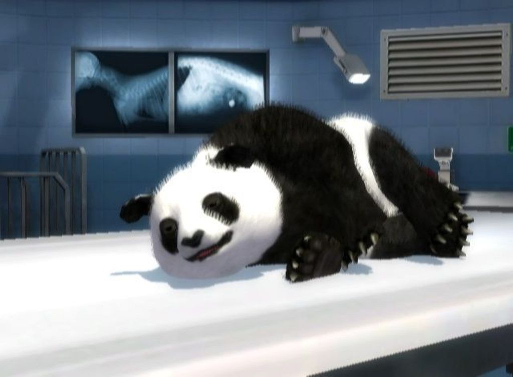 Zoo Hospital