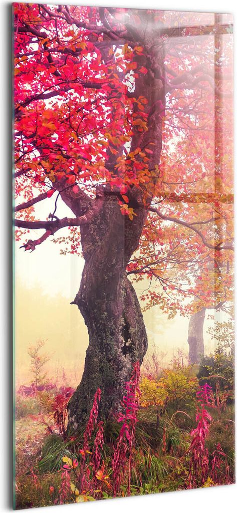 Designer Glasbild - Wandbild - Glas Bild - 60x120 cm - Herbstbäume