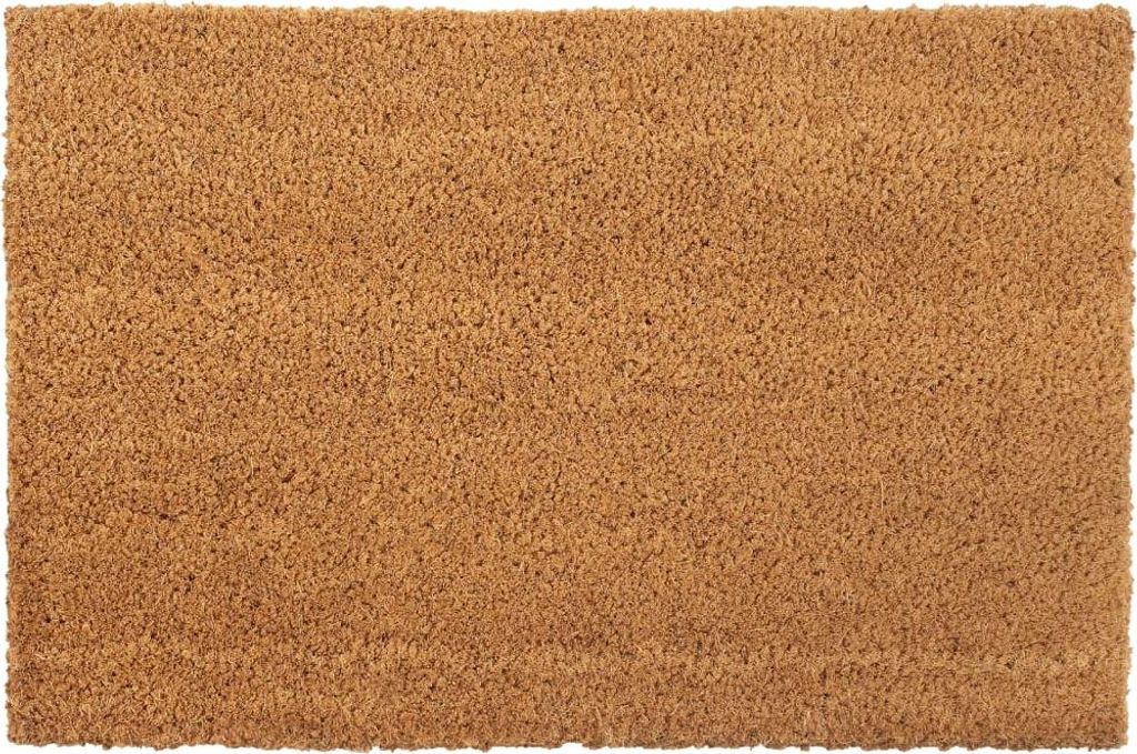 vidaXL Fußmatten 2 Stk. Natur 40x60 cm Kokosfaser Getuftet