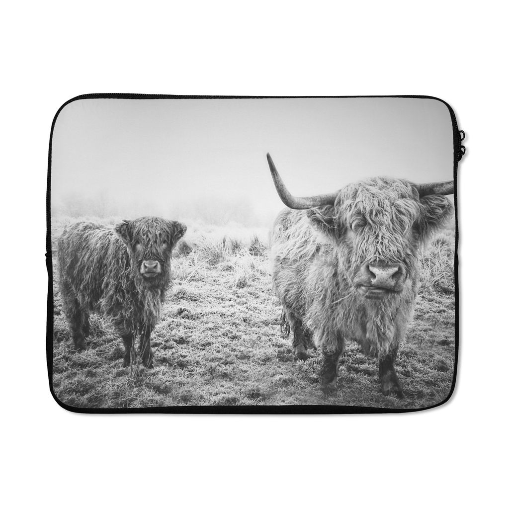 MuchoWow Laptop Hülle 17 Zoll Laptoptasche Schottische Hochlandbewohner - Licht - Himmel - Natur - Zipper - Schutzabdeckung