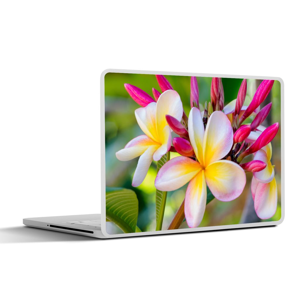MuchoWow Laptop Aufkleber Sticker Cover Blumen - Plumeria - Farben 32.5x23.5 cm - Sticker für Laptop - Selbstklebend