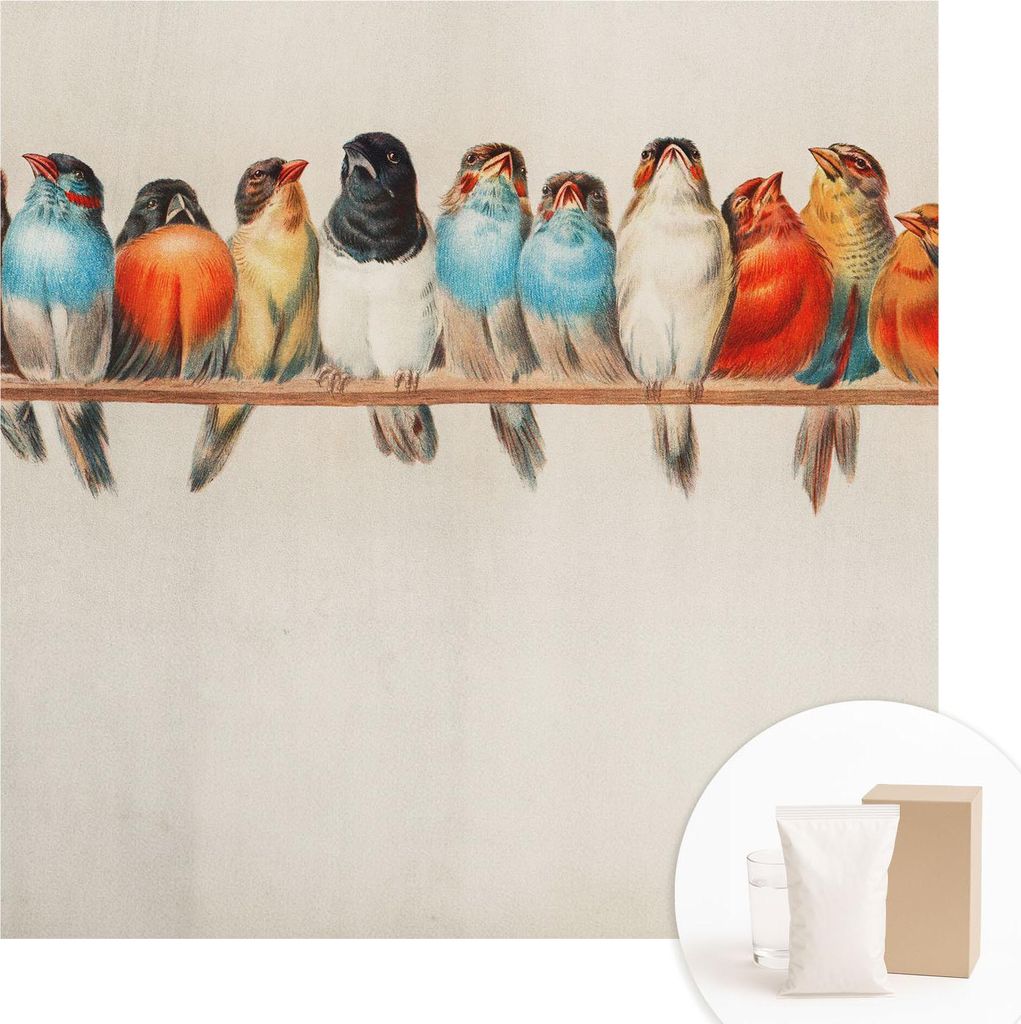 Fototapete - Wandbilder für Wohnzimmer - 250x250 cm - Dekorative Wandfolie - Modernes Design für Wanddekoration - Tapeten für Innenräume - Vög...