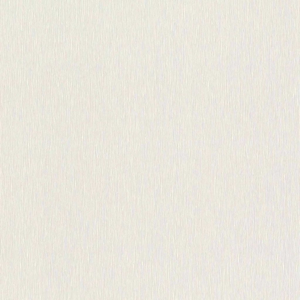 Rasch Vliestapete Color Your Life 810110 Uni Einfarbig Tapete 10.05 x 0.53 m Grau Wohnen Schlafen Küche Flur Eingangsbereich