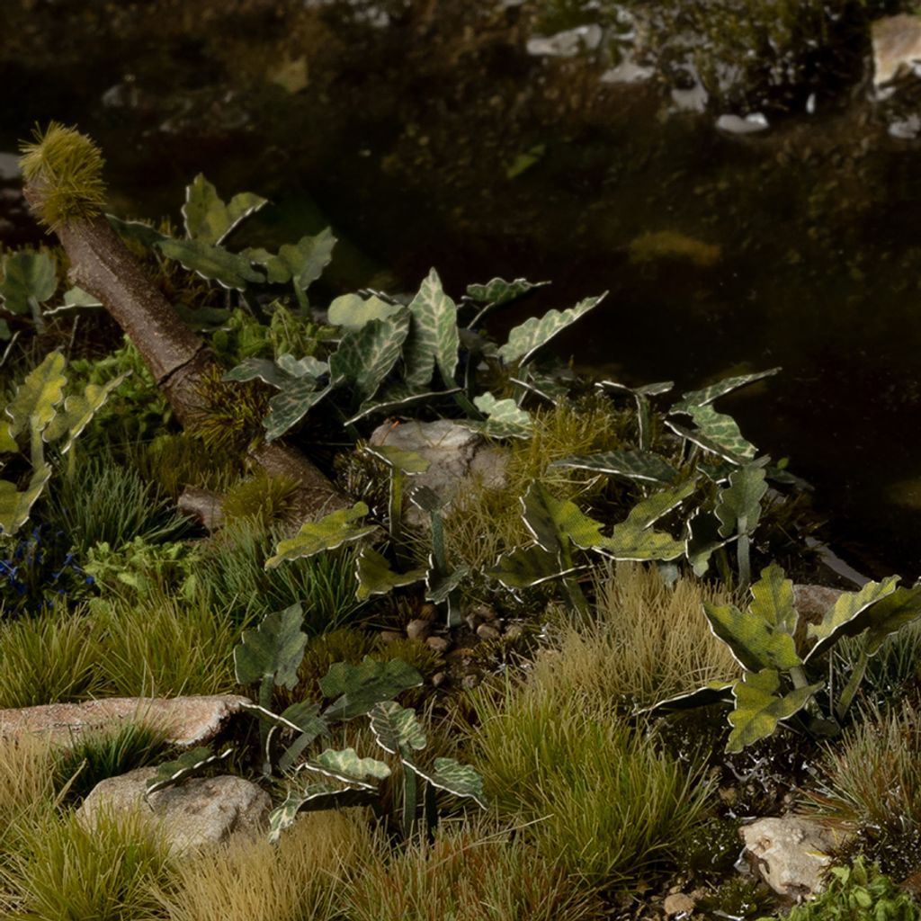 Gamers Grass Laser Plants – Lords-and-Ladies