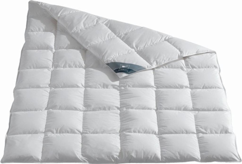 Häussling Daunendecke Moschus royal medium Größe 135x200 cm Ganzjahresdecke silbergrau