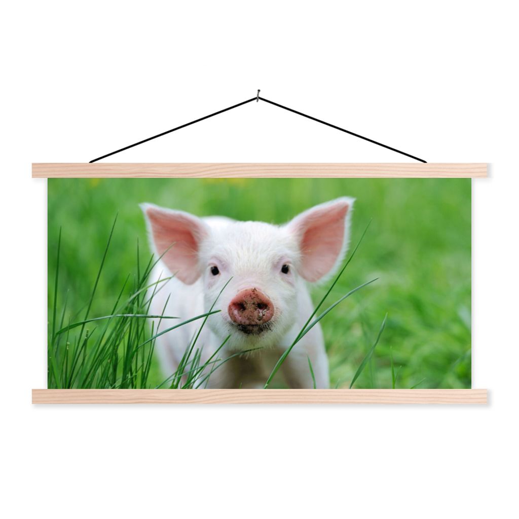 MuchoWow Textilposter Schwein - Tiere - Groß 60x30 cm mit holzfarbenen Rahmen - Dekoration