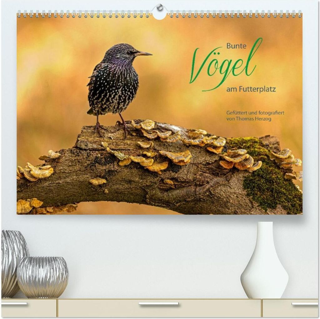 Bunte Vögel am Futterplatz (hochwertiger Premium Wandkalender 2026 DIN A2 quer), Kunstdruck in Hochglanz