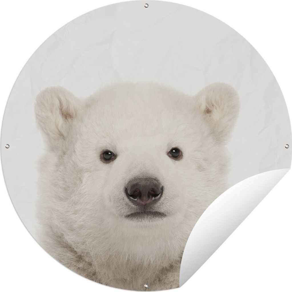 MuchoWow Gartenposter Outdoor-Poster Rund Tiere - Eisbär - Weiß Ø 150 cm Gartendeko Rundes Poster draußen