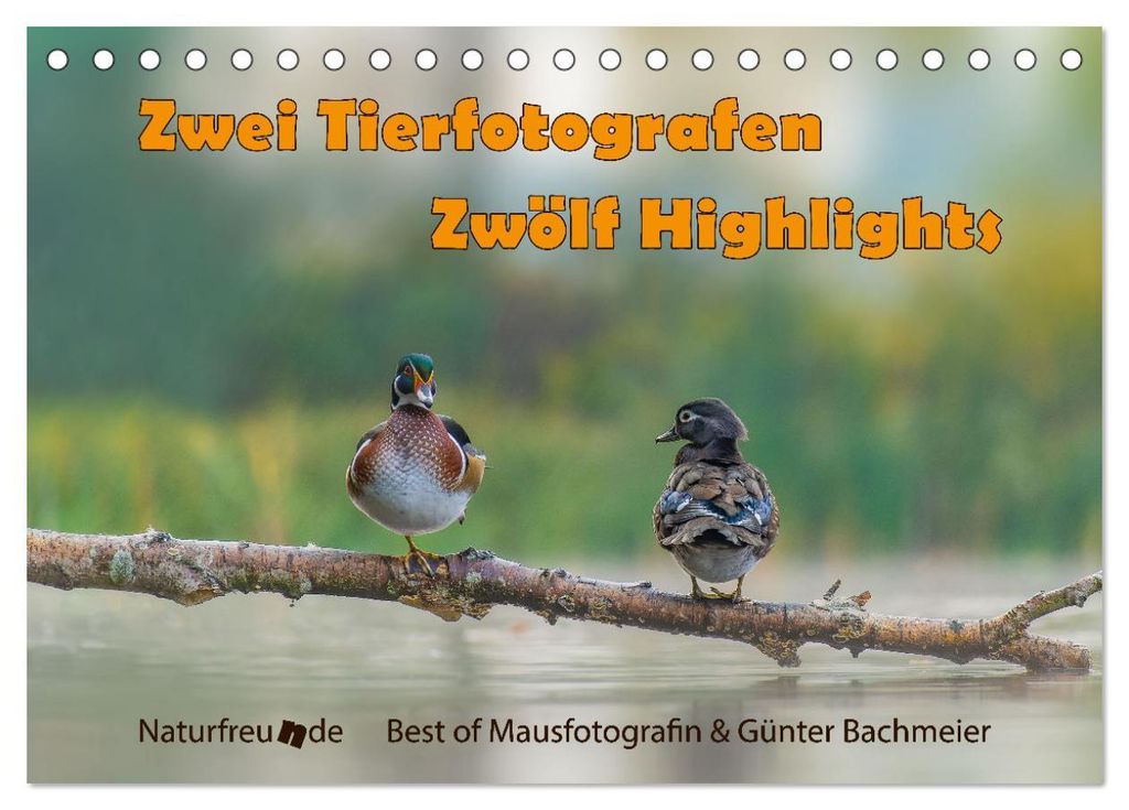 Zwei Tierfotografen Zwölf Highlights (Tischkalender 2027 DIN A5 quer), CALVENDO Monatskalender