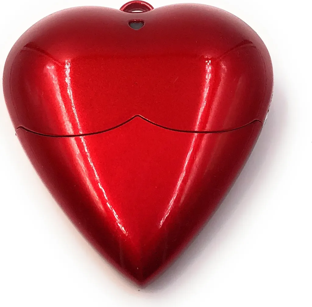 Pendrive Cuore 8GB USB 2.0 Onwomania - Memoria Portatile San Valentino