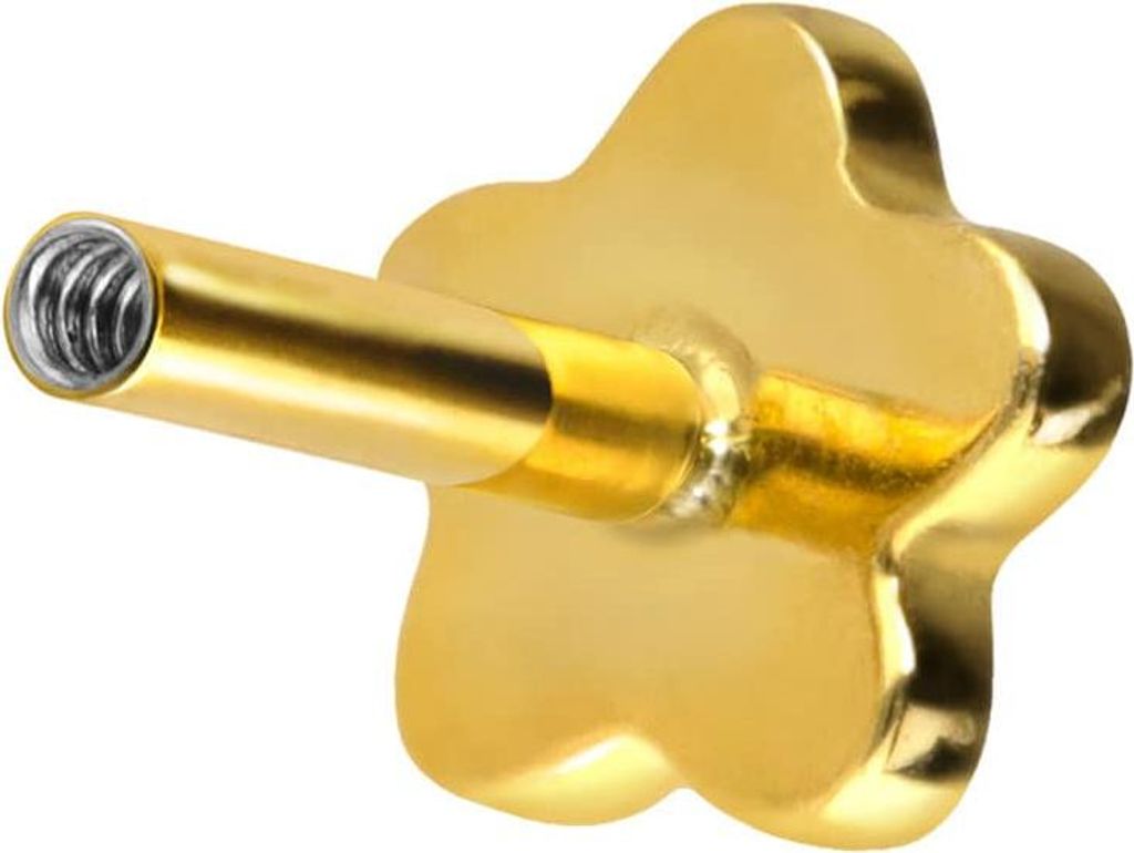 Ohrpiercing, Nasenpiercing Titan Labret mit Innengewinde ohne Kugel BLUME Gold Stablänge: 6mm | Stabstärke: 1,2mm