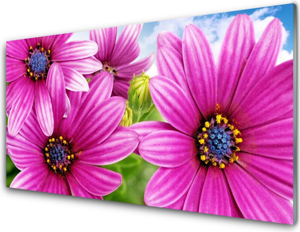 Küchenrückwand aus Glas 100x50cm Spritzschutz Blumen Pflanzen