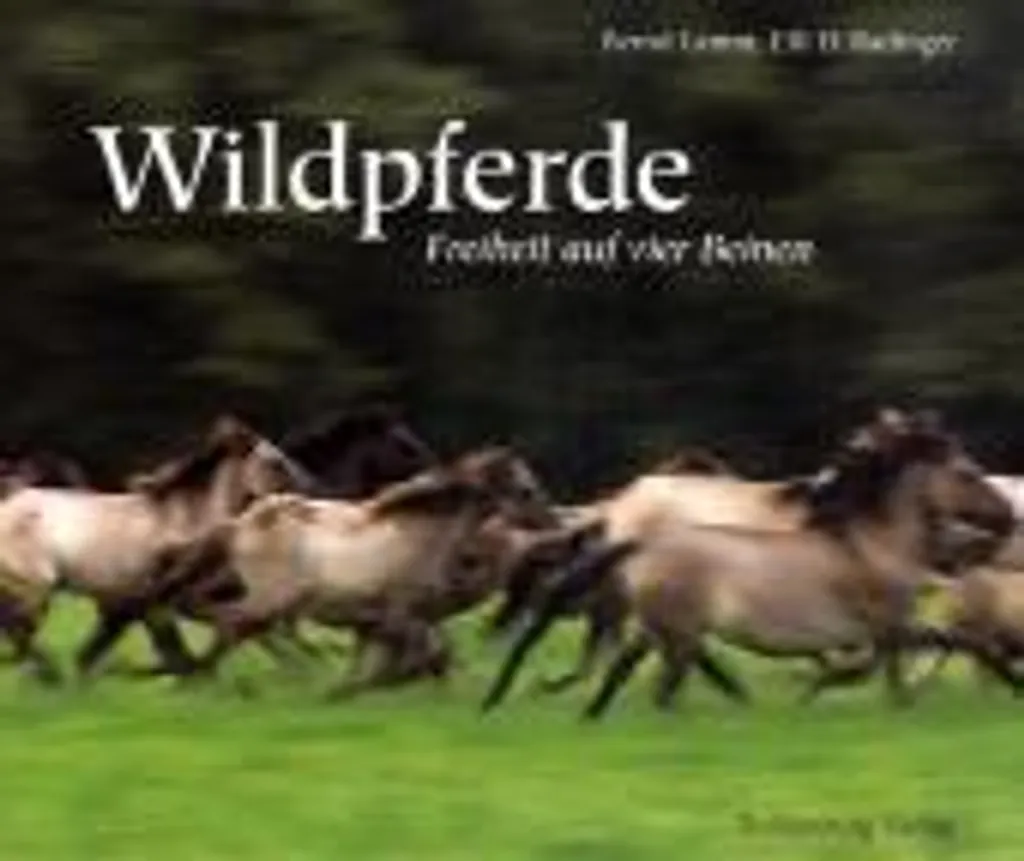 Tableau Wildpferde Chevaux Sauvages Impression sur Toile Premium 60x90cm