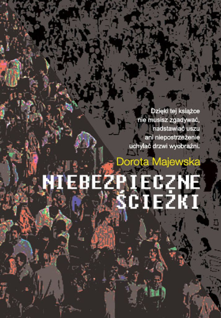 Niebezpieczne ścieżki - Dorota Majewska (Buch auf Polnisch)