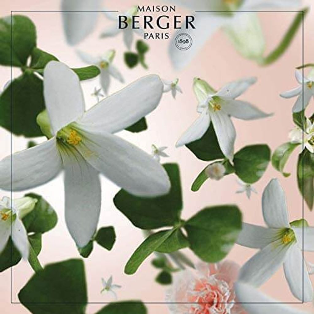 Maison Berger Paris 115286, Flasche, Flüssigkeit, Jasmin, Durchscheinend, 500 ml, Lampe Berger