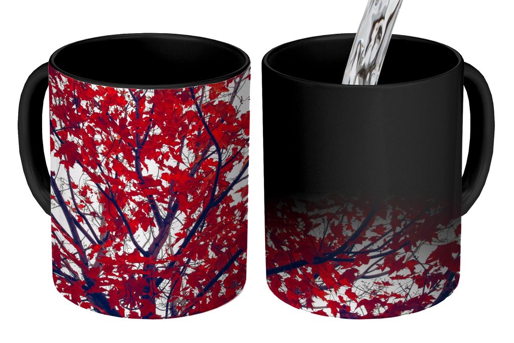 KitchenYeah Zauber Tasse Zaubertasse Magic Ahorn - Blätter - Herbst - Natur 350 ml Farbwechsel Becher Geschenk Geschenkidee - Magic-Tasse - Foto...