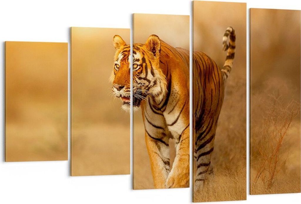Bild auf Leinwand - Leinwandbild - tiger tier - 150x100cm - Wand Bild - Wanddeko - Wandbilder - Leinwanddruck - Bilder - Kunstdruck - Wanddekoratio...